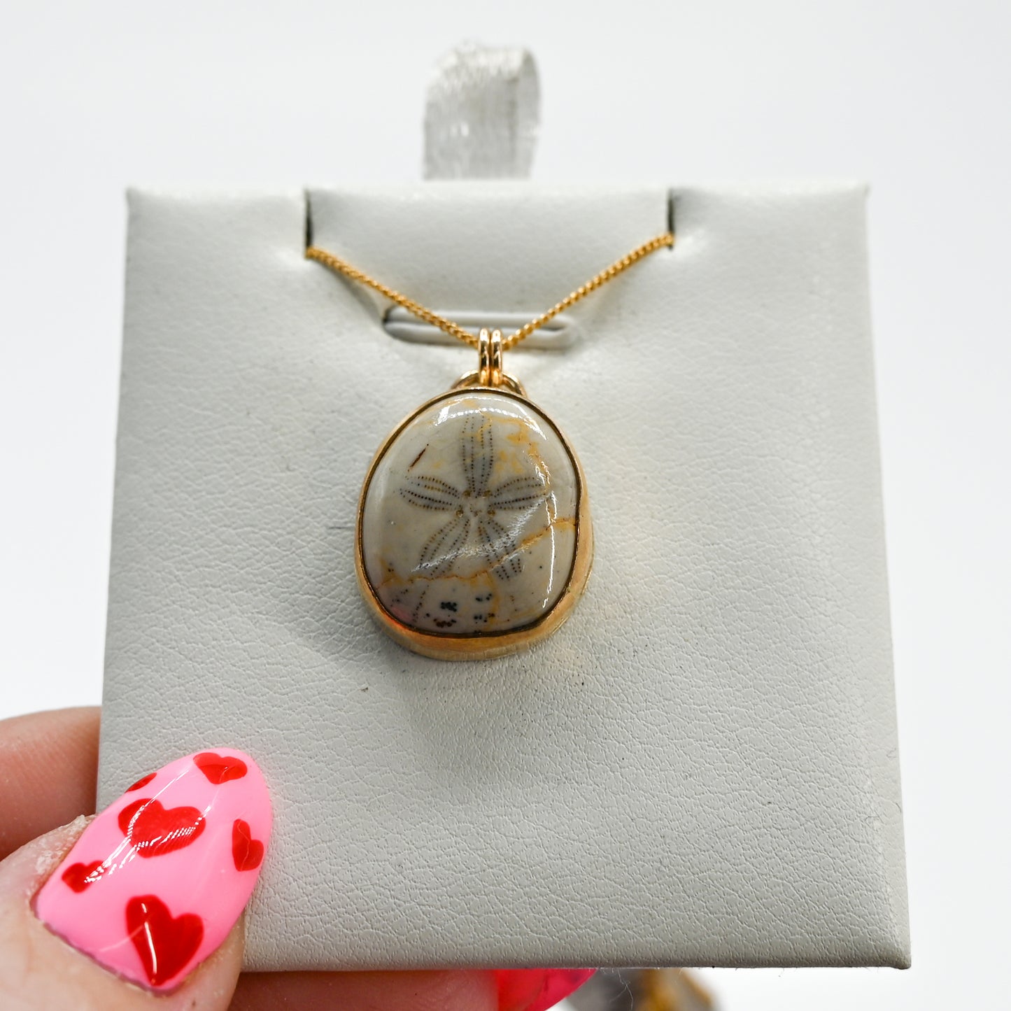 Gold fill large fossilized sand dollar necklace