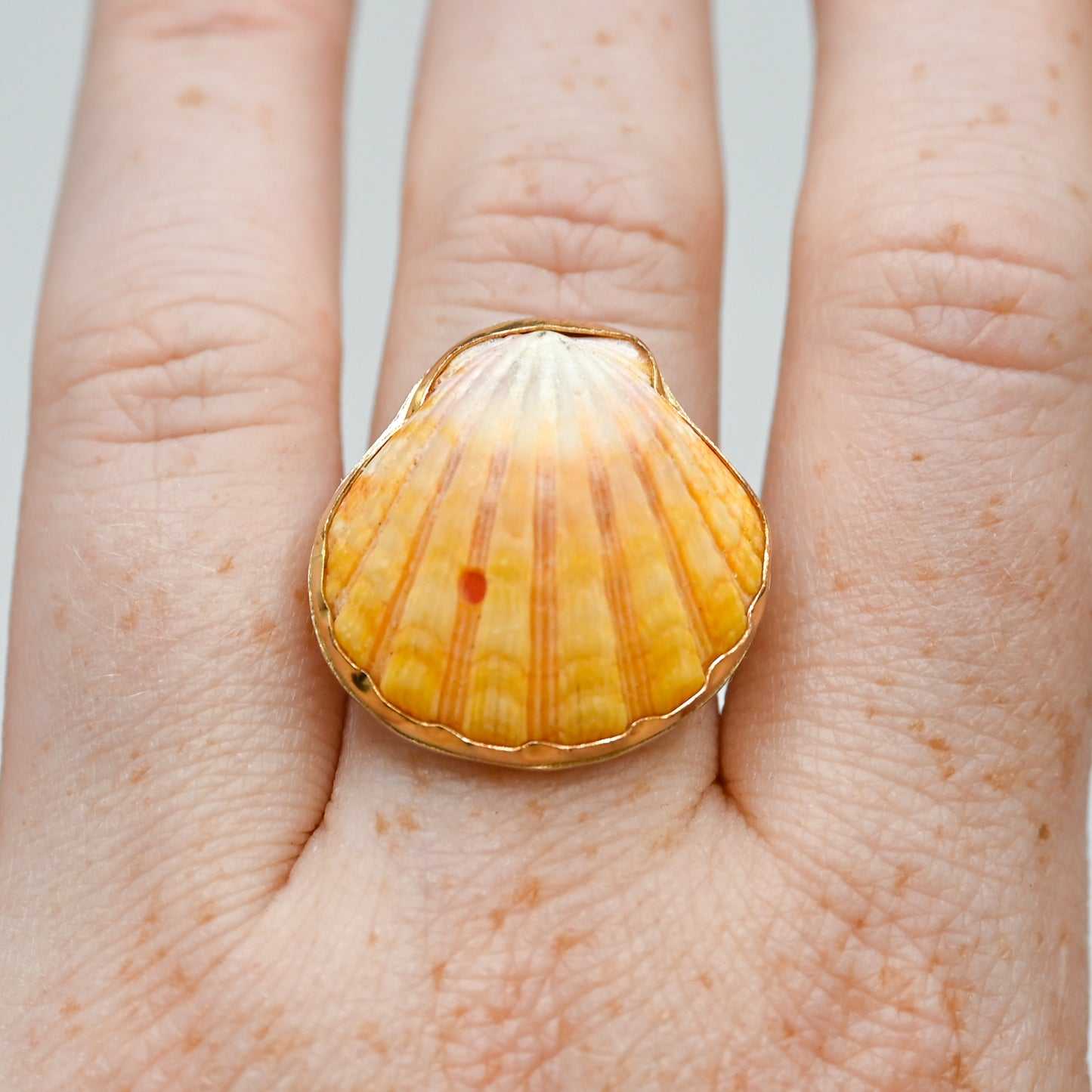 Gold fill xl Hawaiian sunrise shell size 8.5