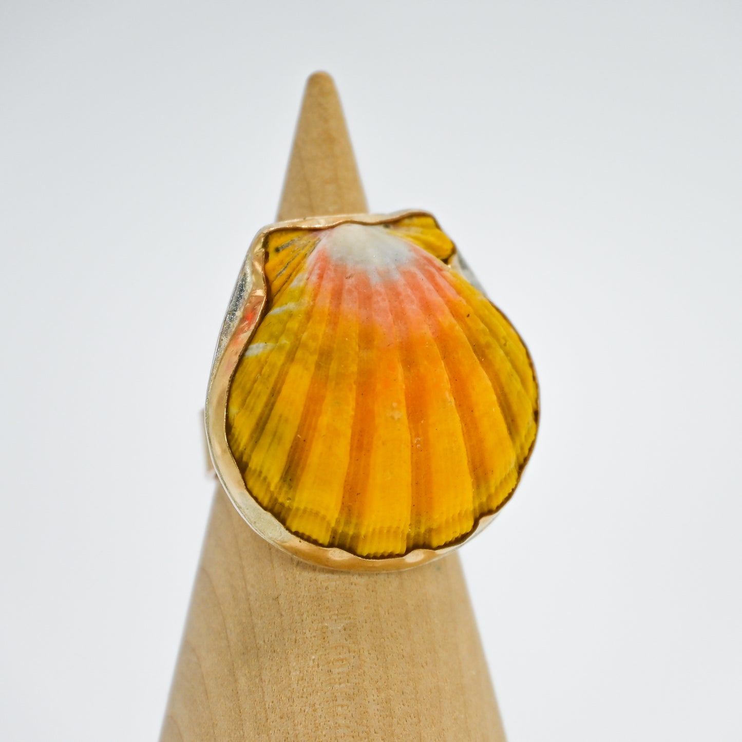 Gold fill xxl Hawaiian sunrise shell size 7.5