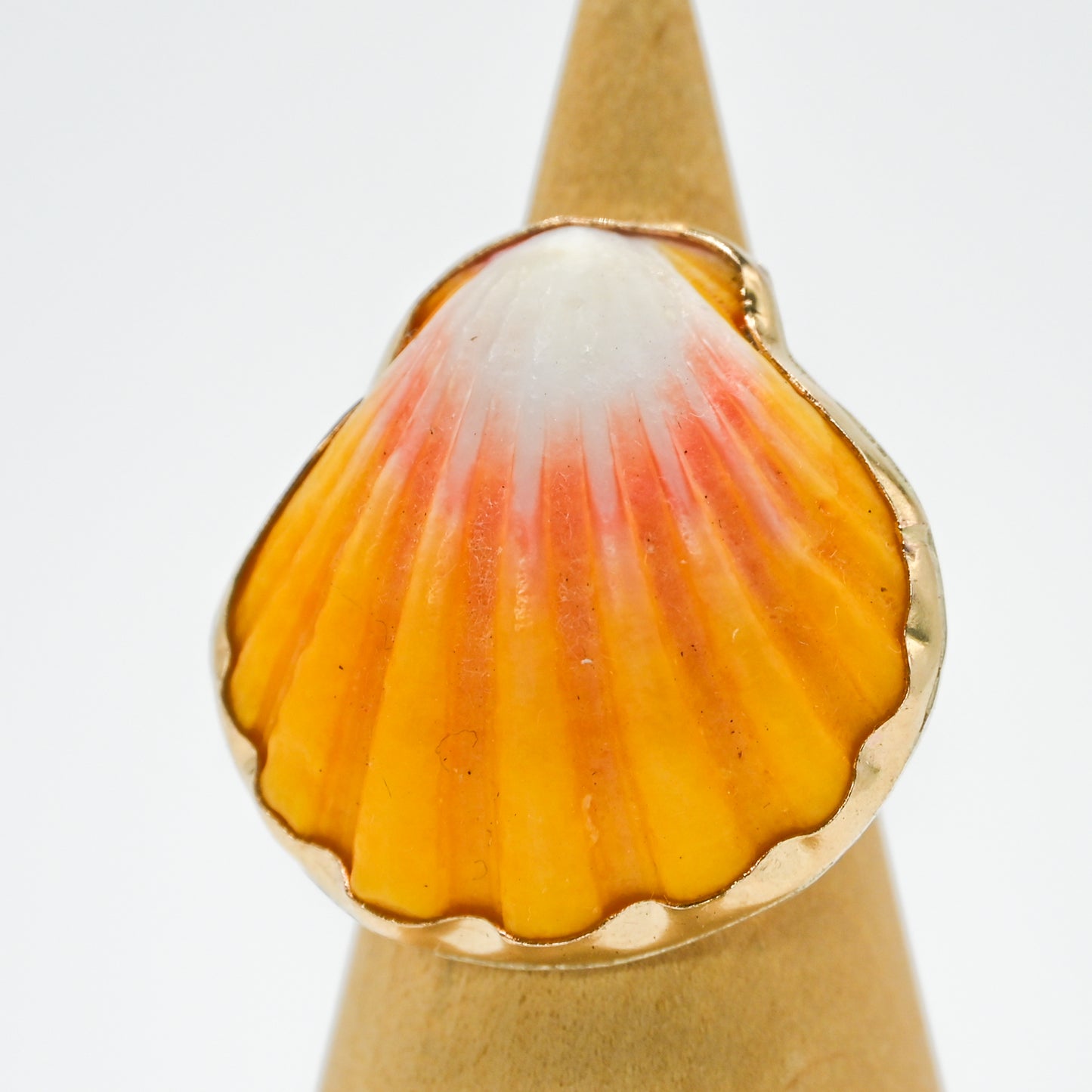 Gold fill Hawaiian sunrise shell size 6.5