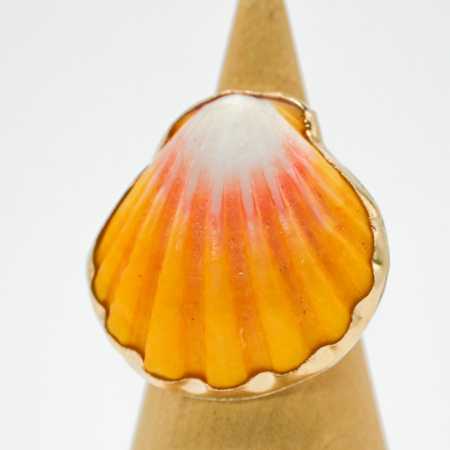 Gold fill Hawaiian sunrise shell size 6.5