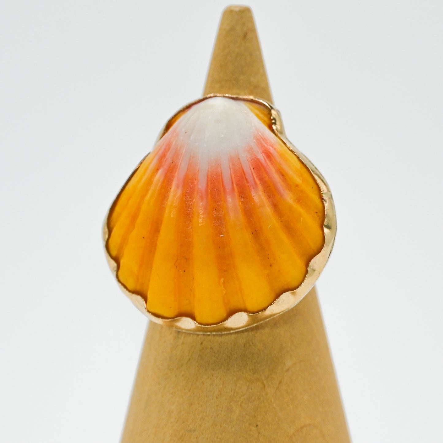 Gold fill Hawaiian sunrise shell size 6.5