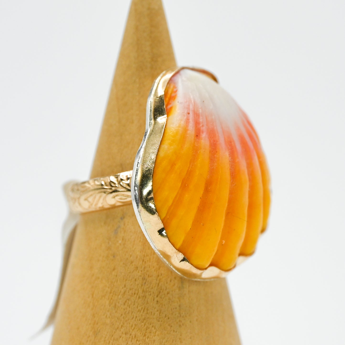 Gold fill Hawaiian sunrise shell size 6.5