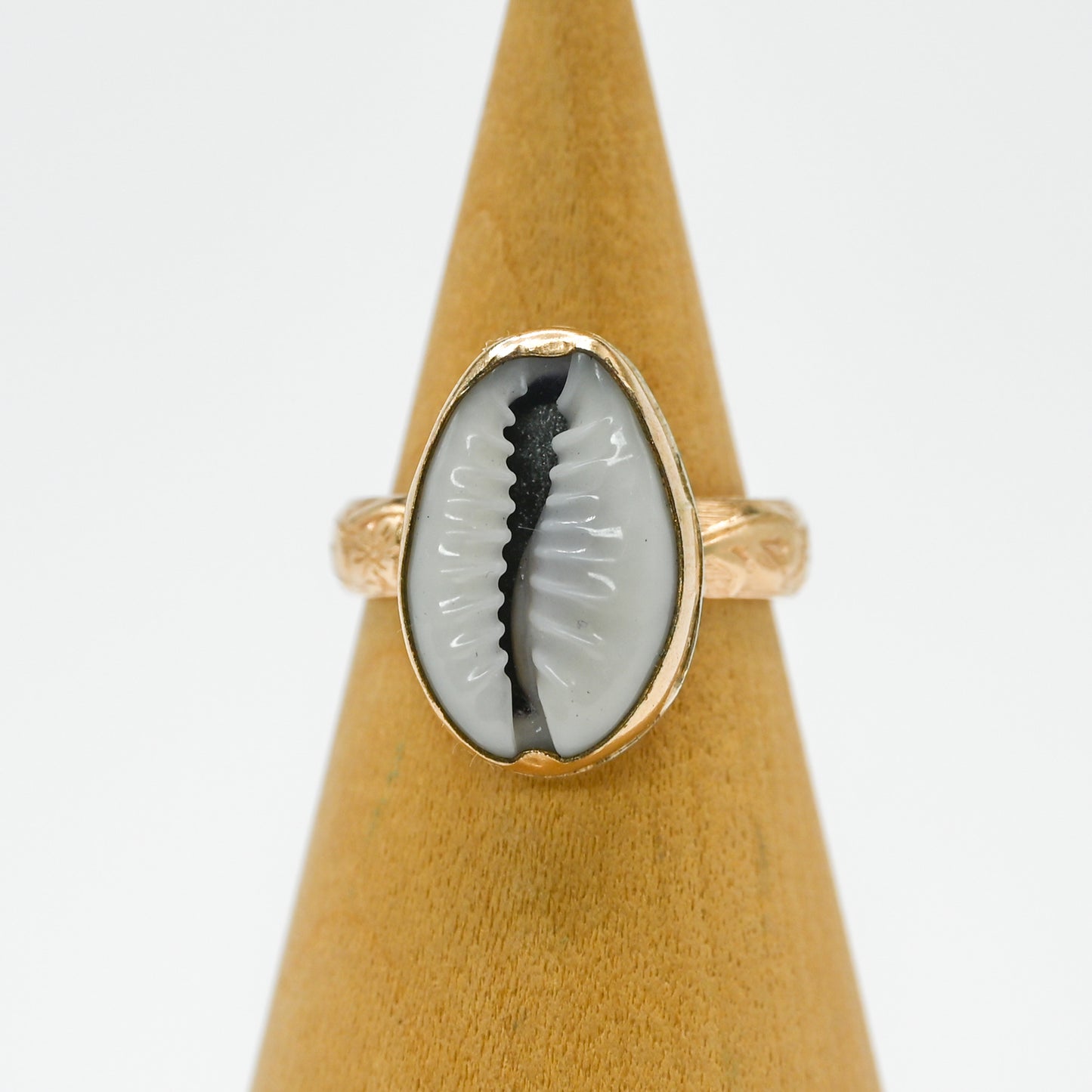 Gold fill cowrie size 6.5