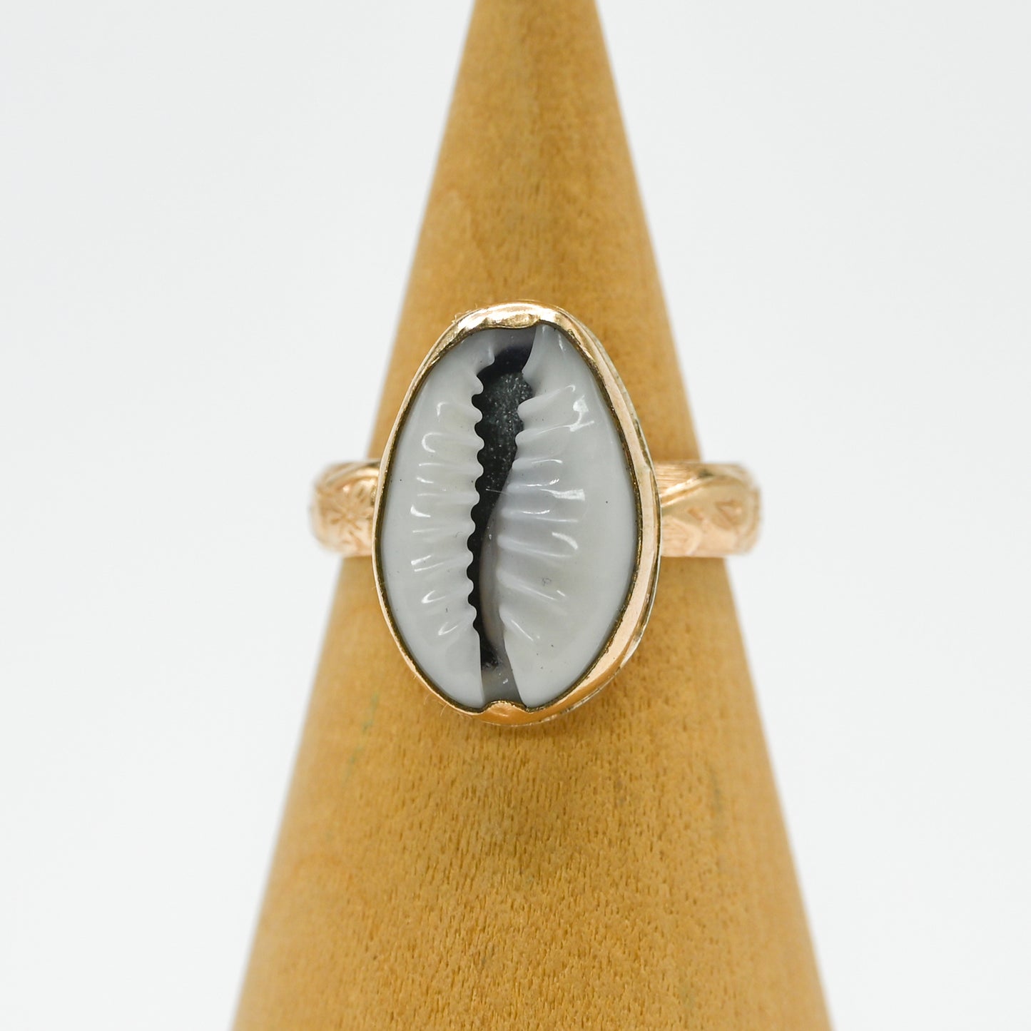 Gold fill cowrie size 6.5