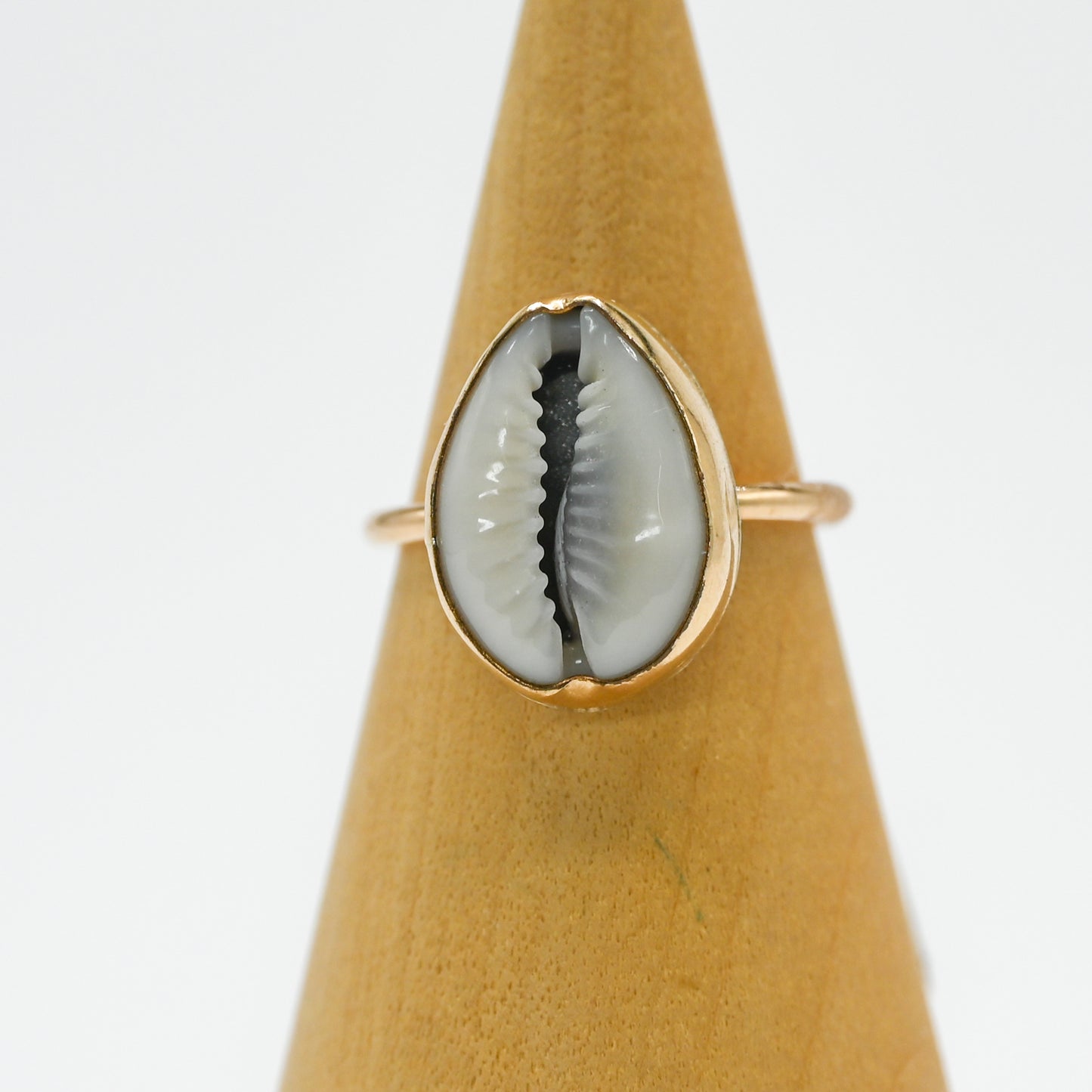 Gold fill cowrie size 7