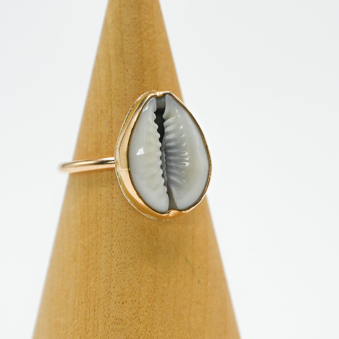 Gold fill cowrie size 7