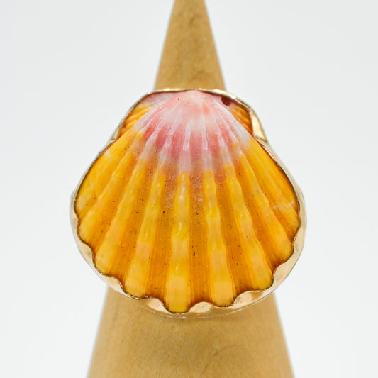 Gold fill XL hawaiian sunrise shell size 7