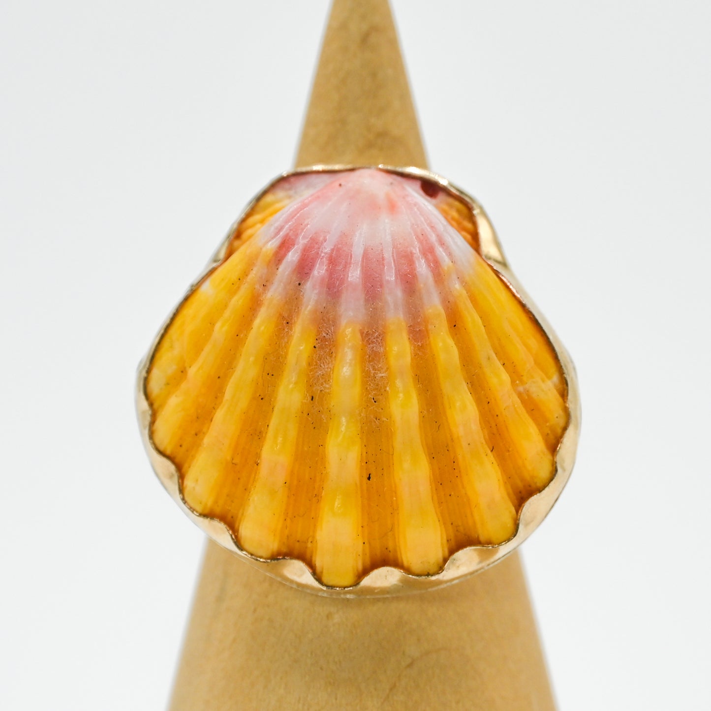 Gold fill XL hawaiian sunrise shell size 7