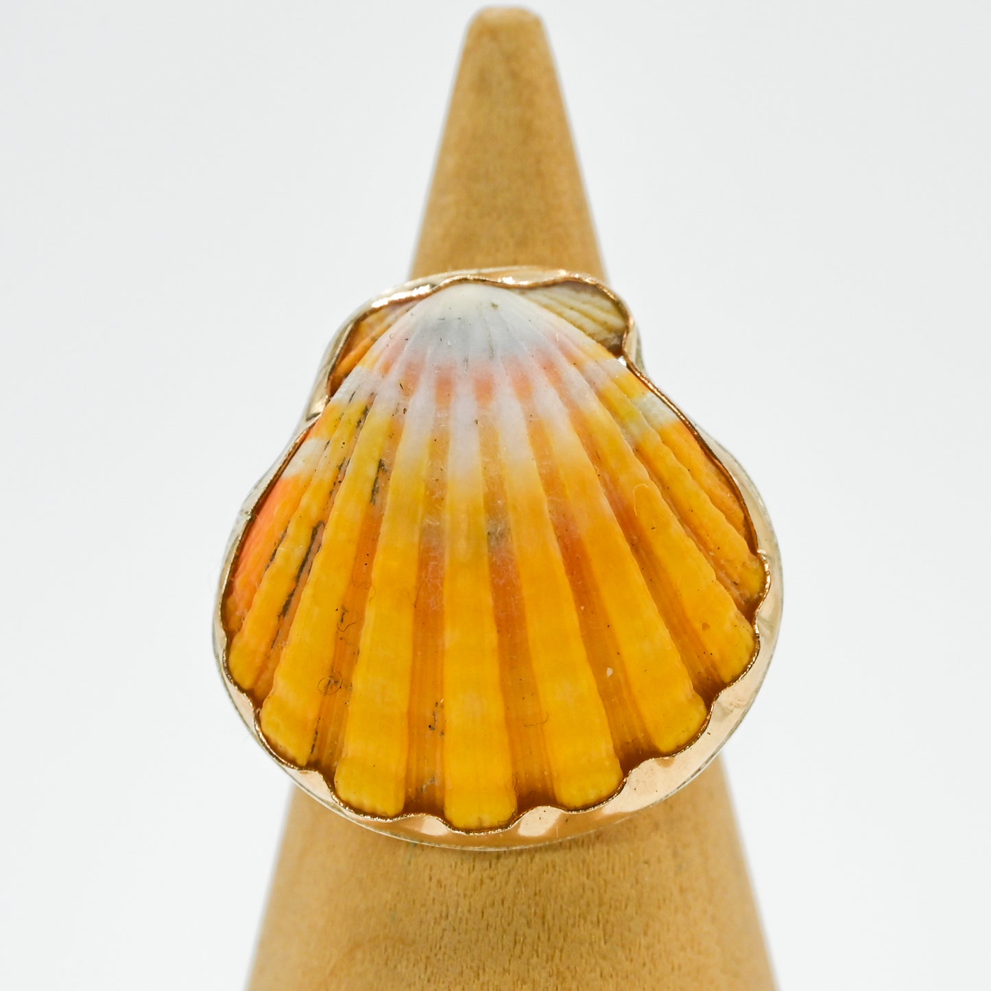 Gold fill Hawaiian sunrise shell size 7