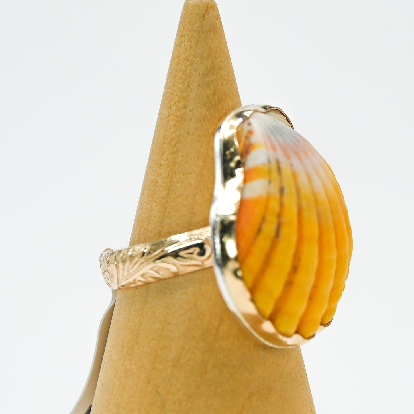 Gold fill Hawaiian sunrise shell size 7