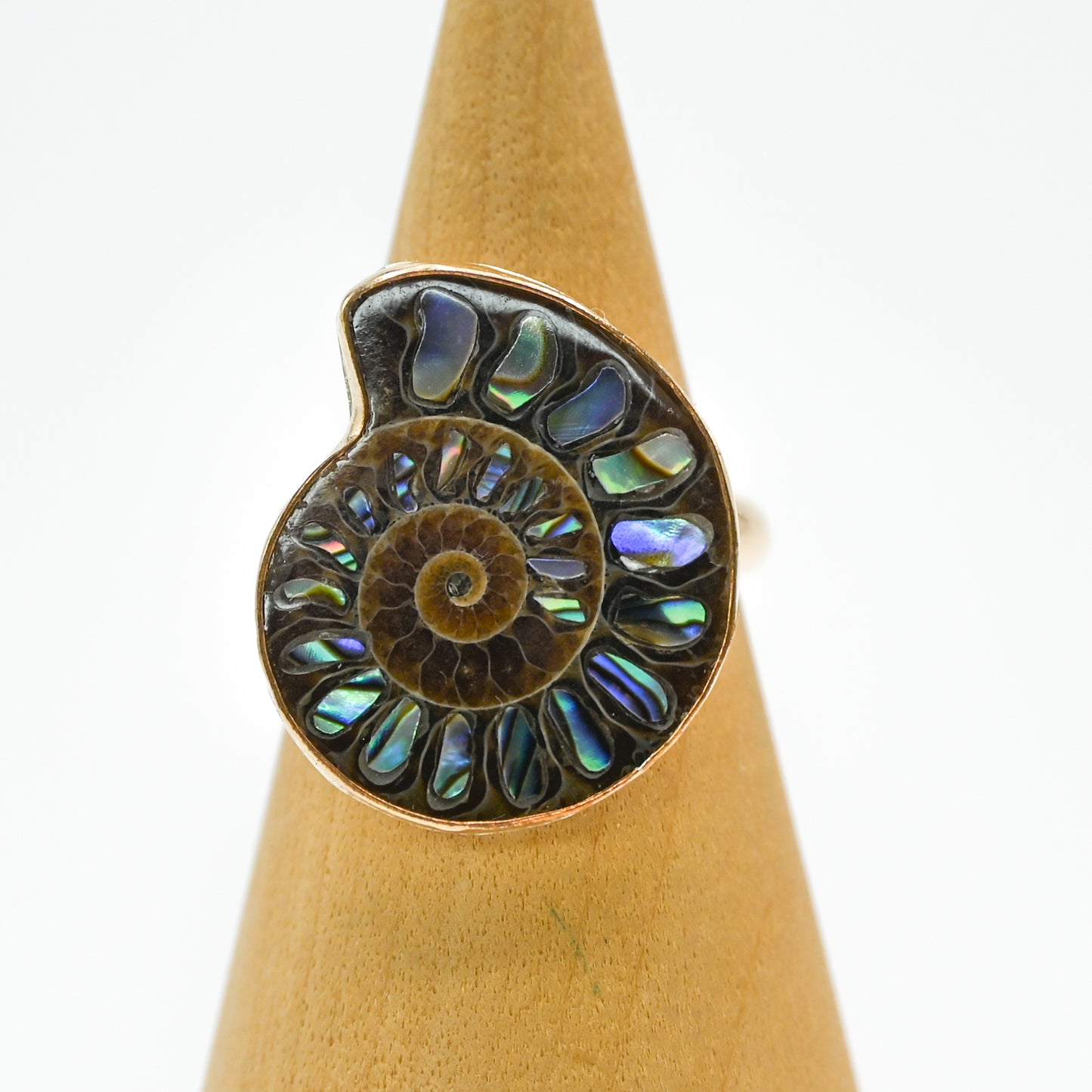 Gold fill xxl abalone inlay in ammonite shell size 7.75