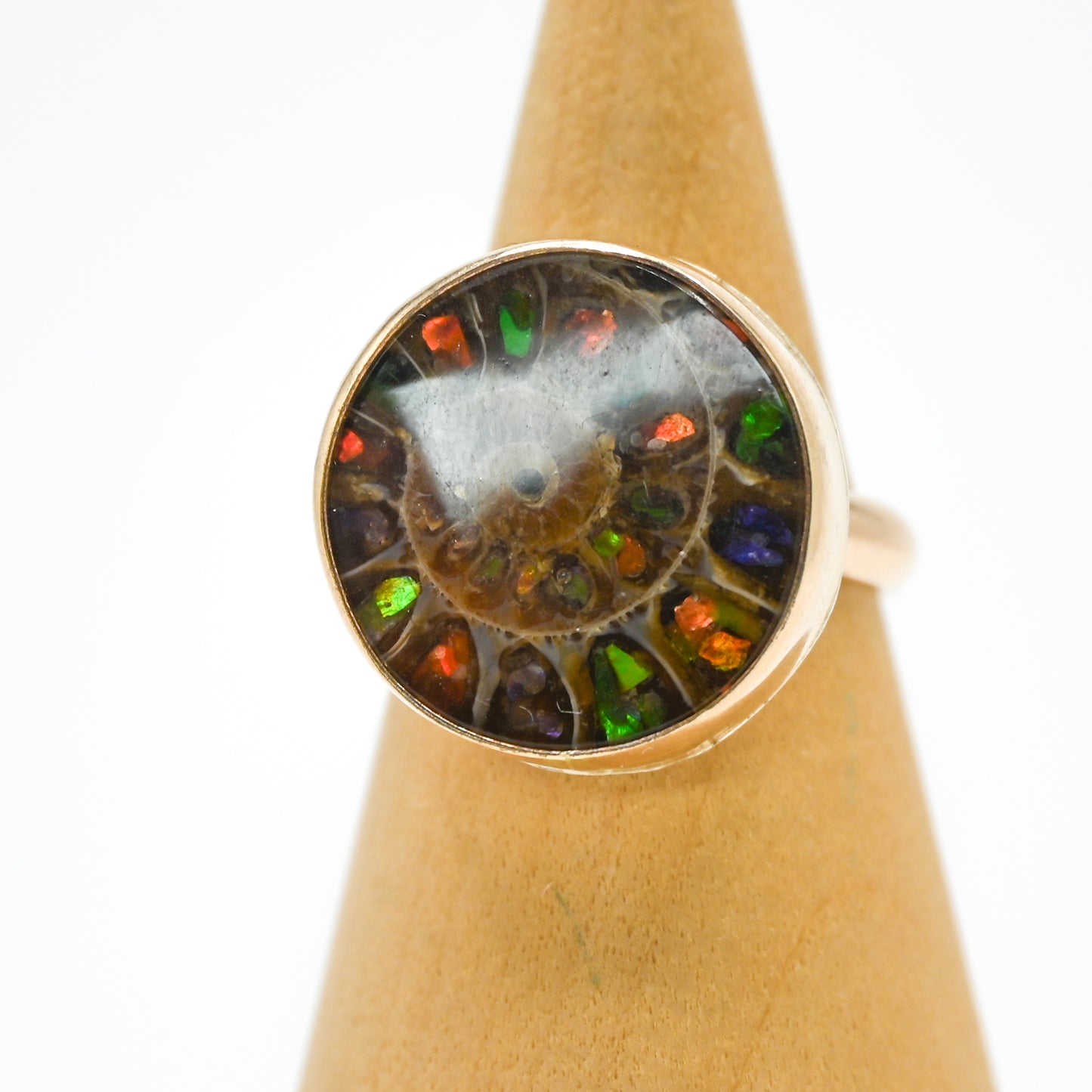 Gold fill xxl Ammonite shell with ammonite inlay size 7.75