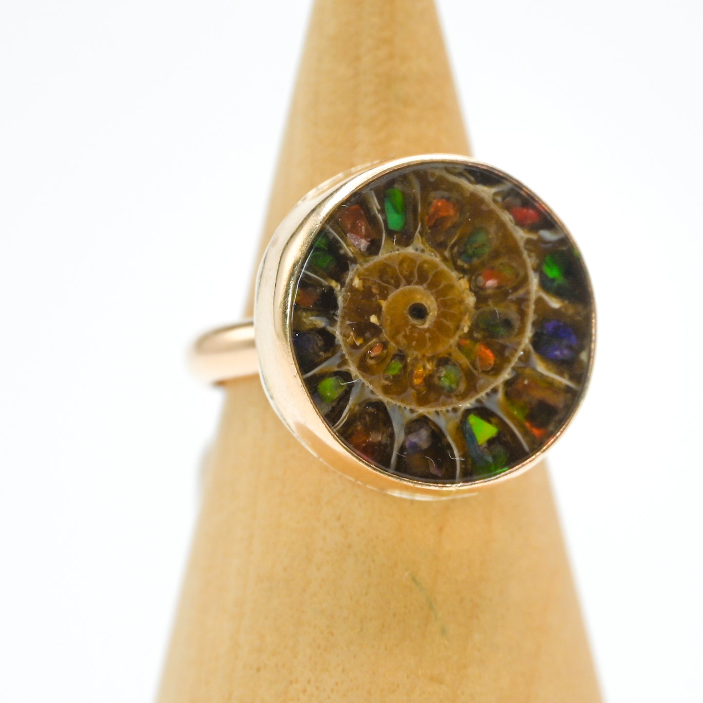 Gold fill xxl Ammonite shell with ammonite inlay size 7.75