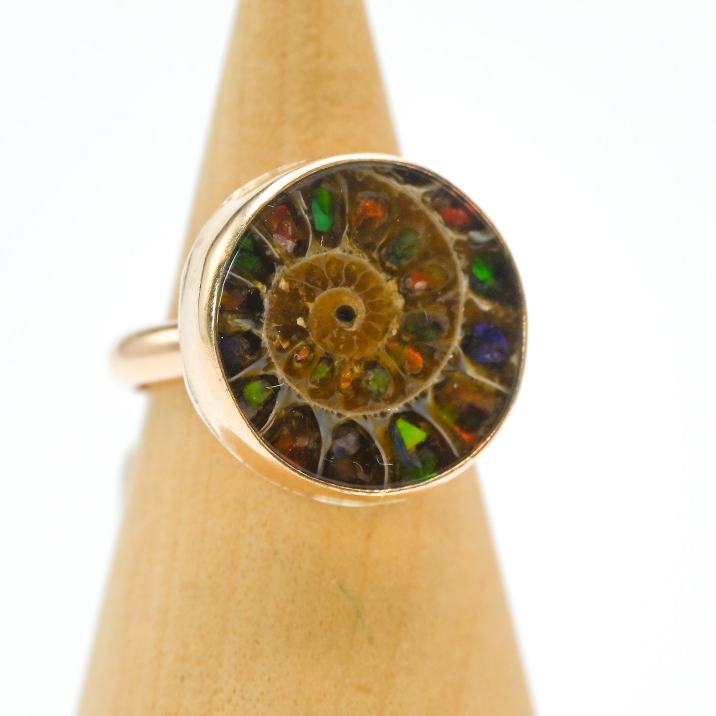 Gold fill xxl Ammonite shell with ammonite inlay size 7.75