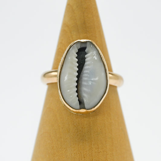 Gold fill cowrie size 8