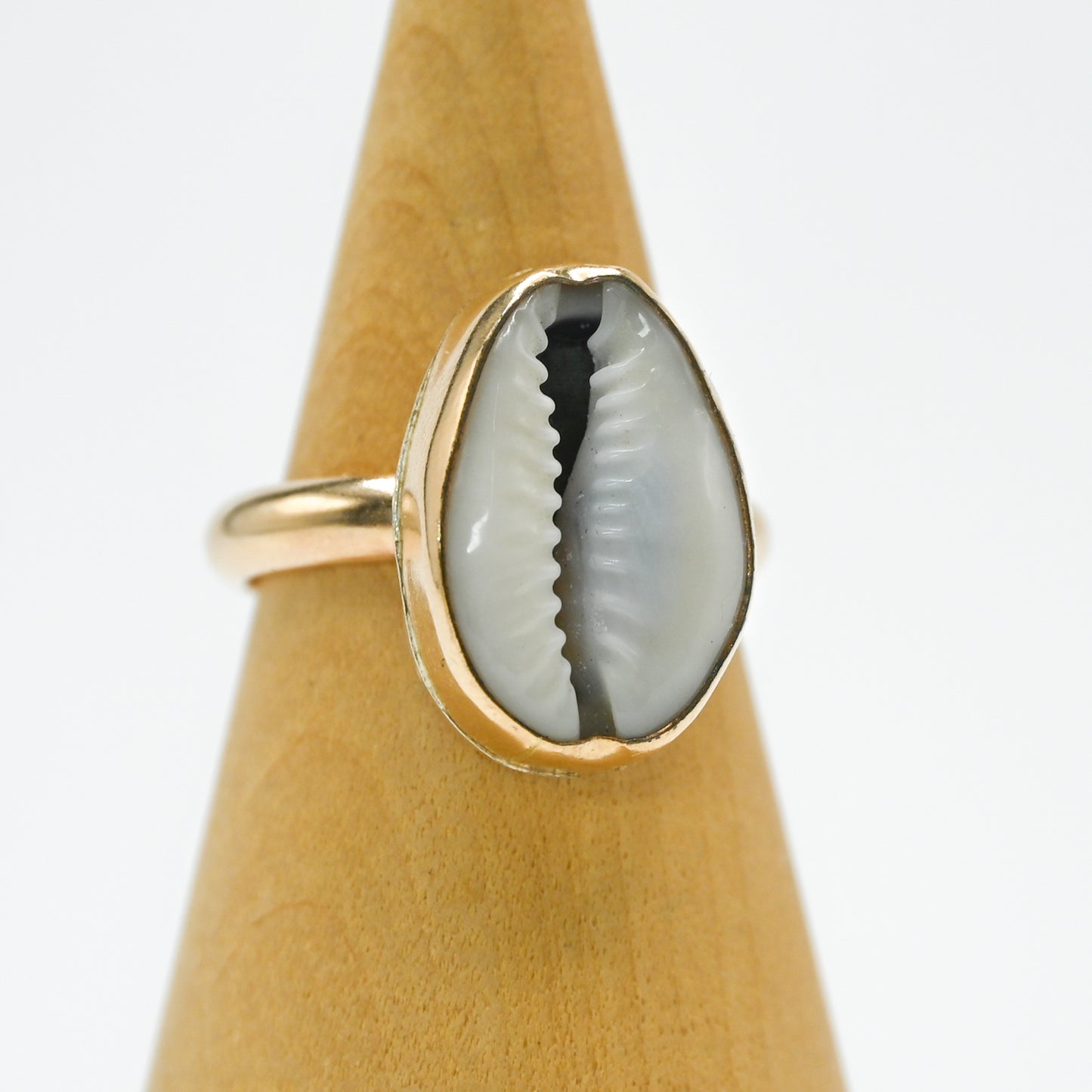 Gold fill cowrie size 8