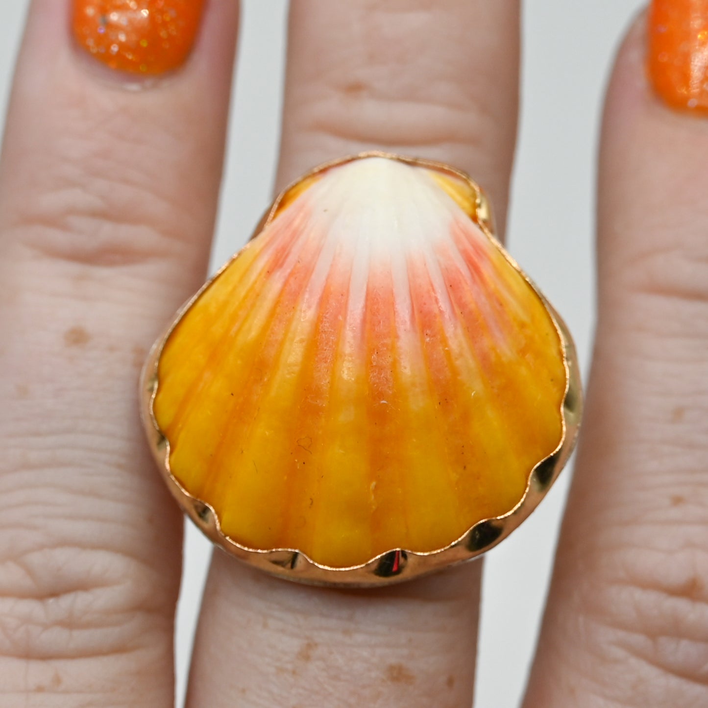 Gold fill Hawaiian sunrise shell size 6.5