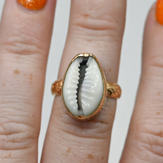 Gold fill cowrie size 6.5
