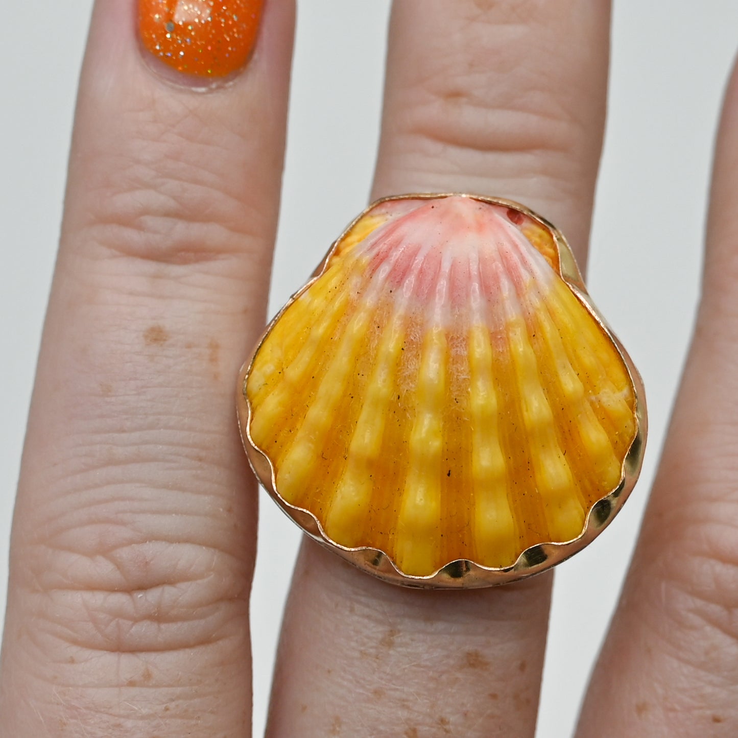 Gold fill XL hawaiian sunrise shell size 7