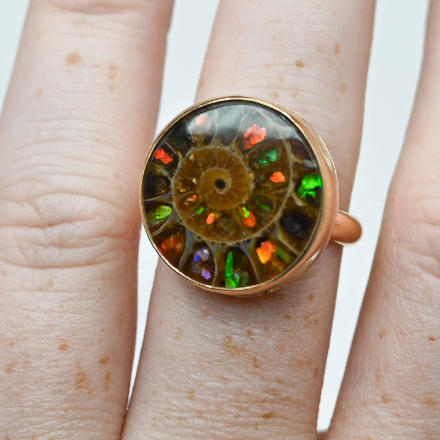 Gold fill xxl Ammonite shell with ammonite inlay size 7.75