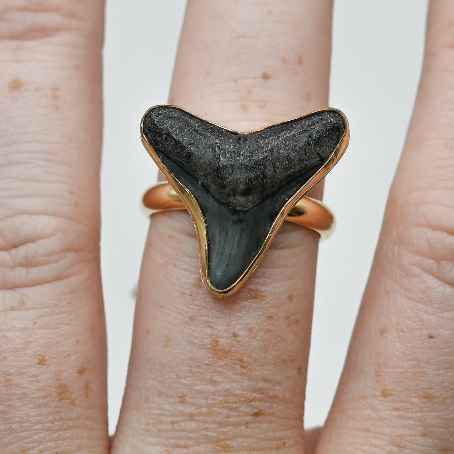 Gold fill fossilized shark tooth size 8