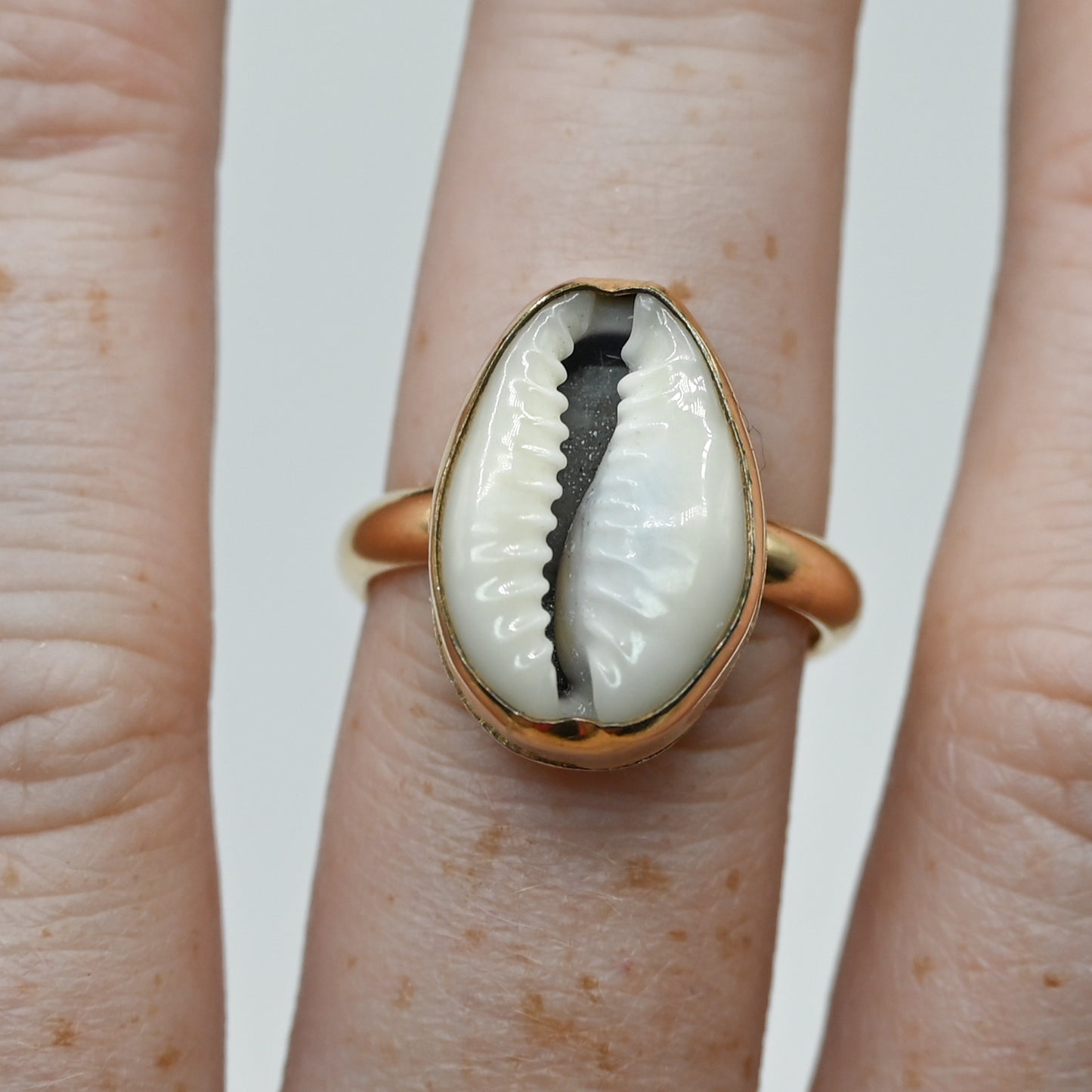 Gold fill cowrie size 8