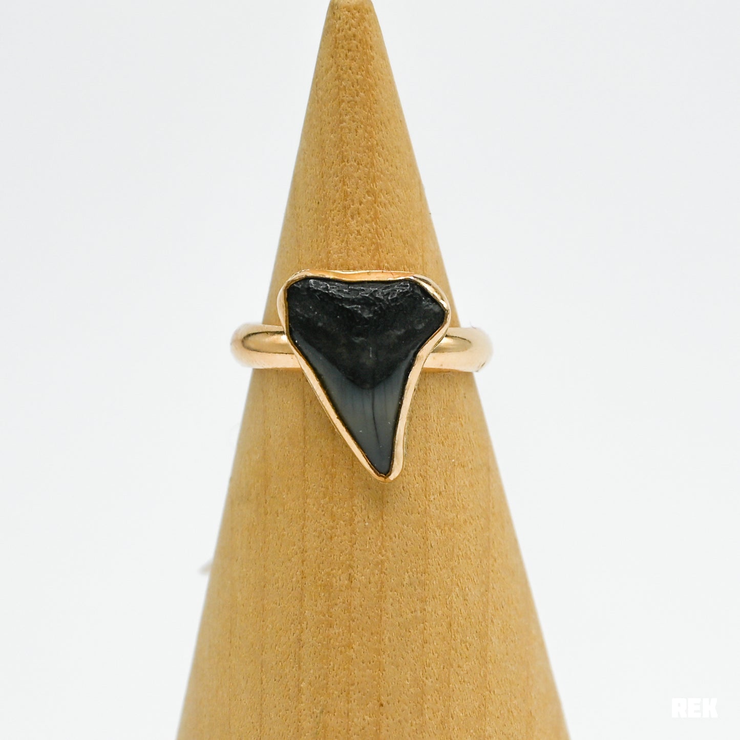 Gold fill fossilized shark tooth size 7