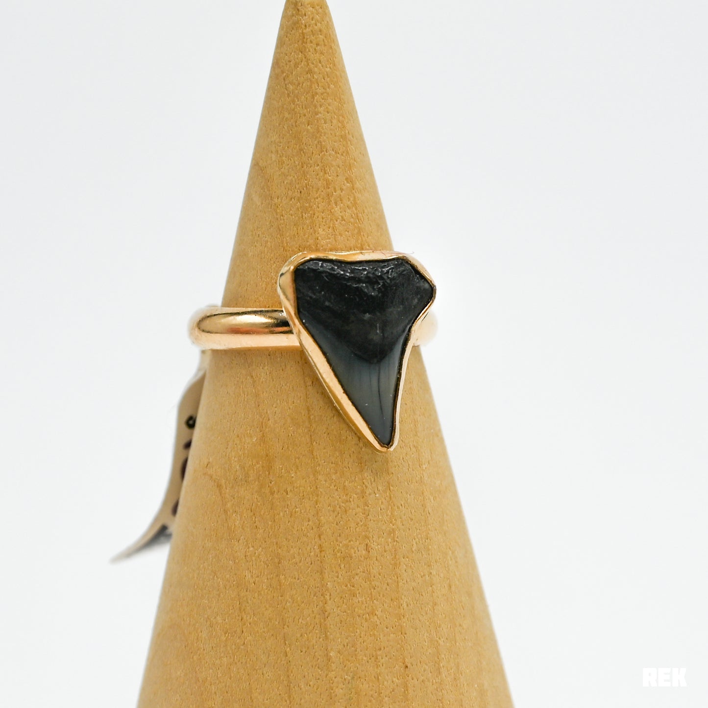 Gold fill fossilized shark tooth size 7
