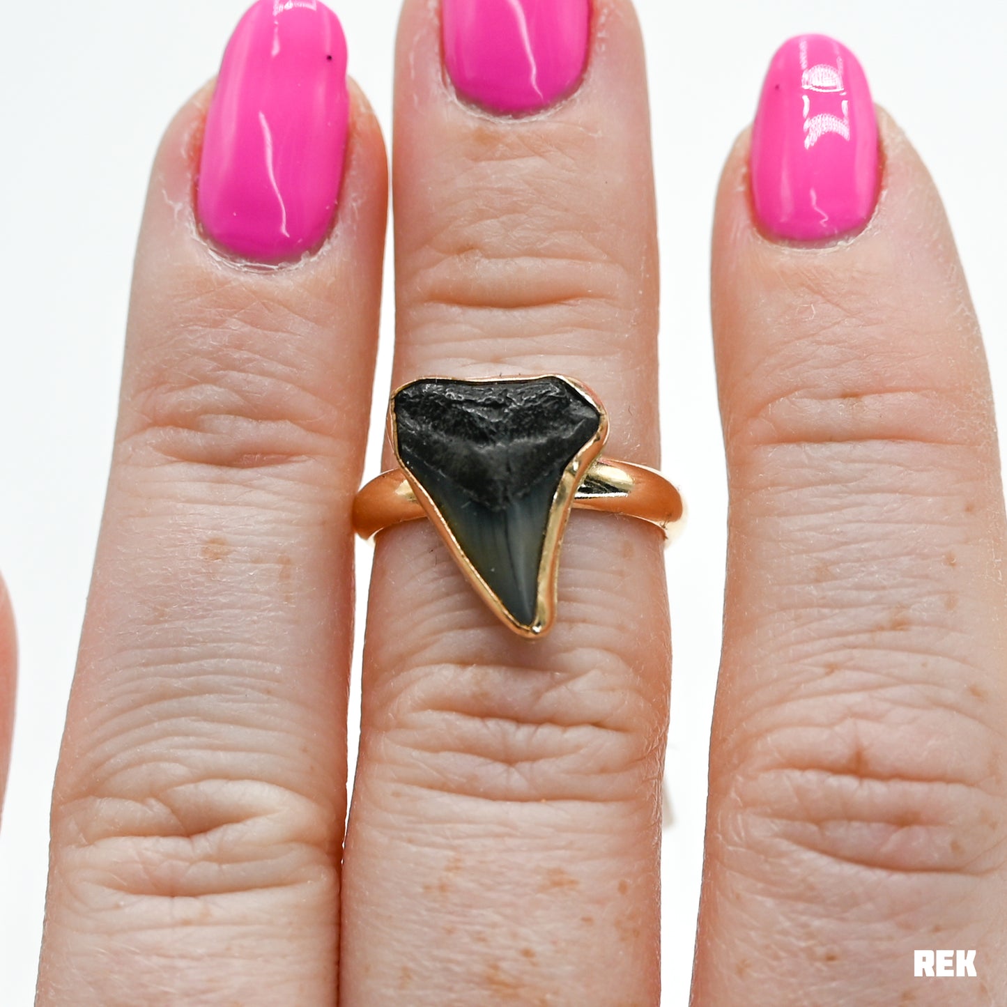 Gold fill fossilized shark tooth size 7