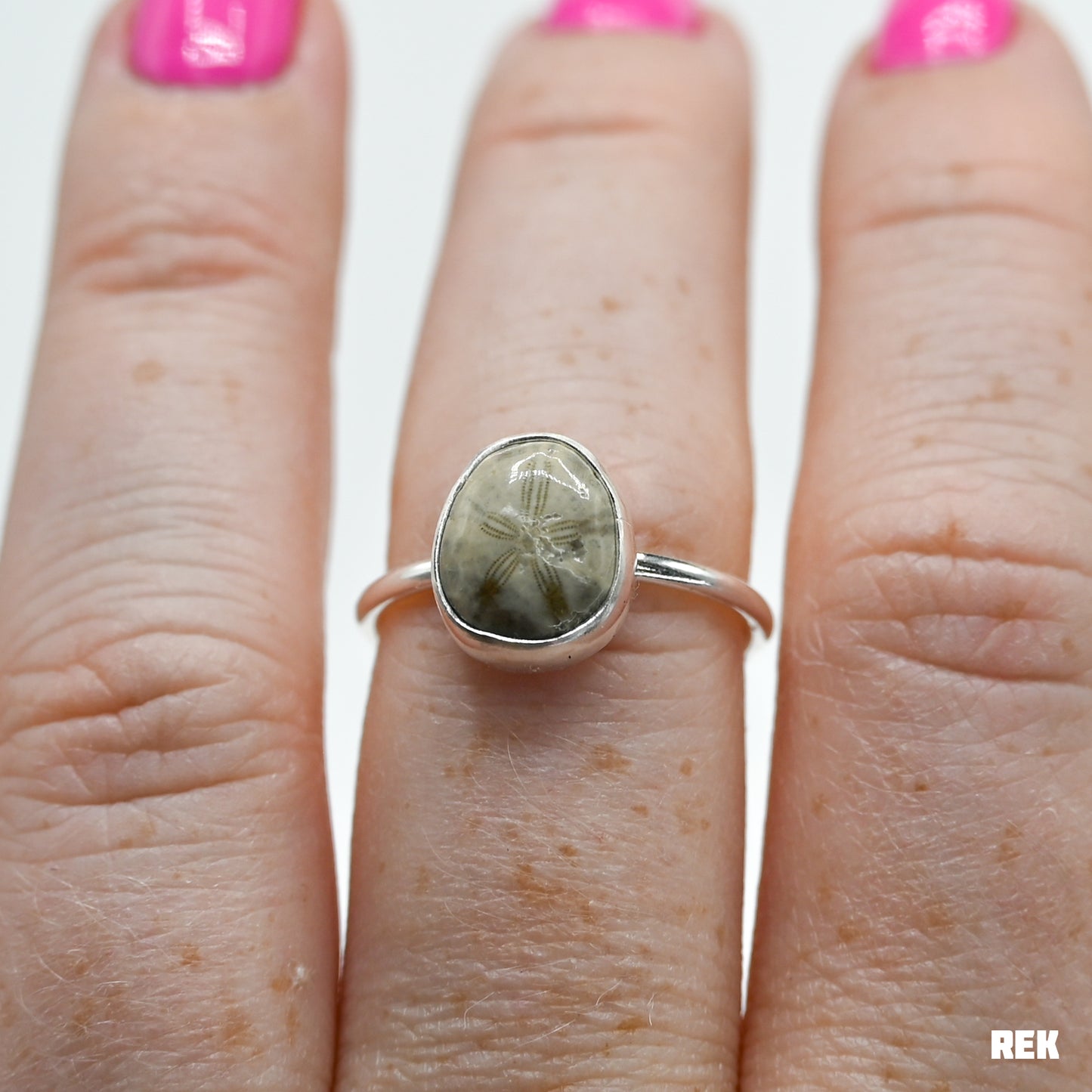 Fossilized sand dollar size 7