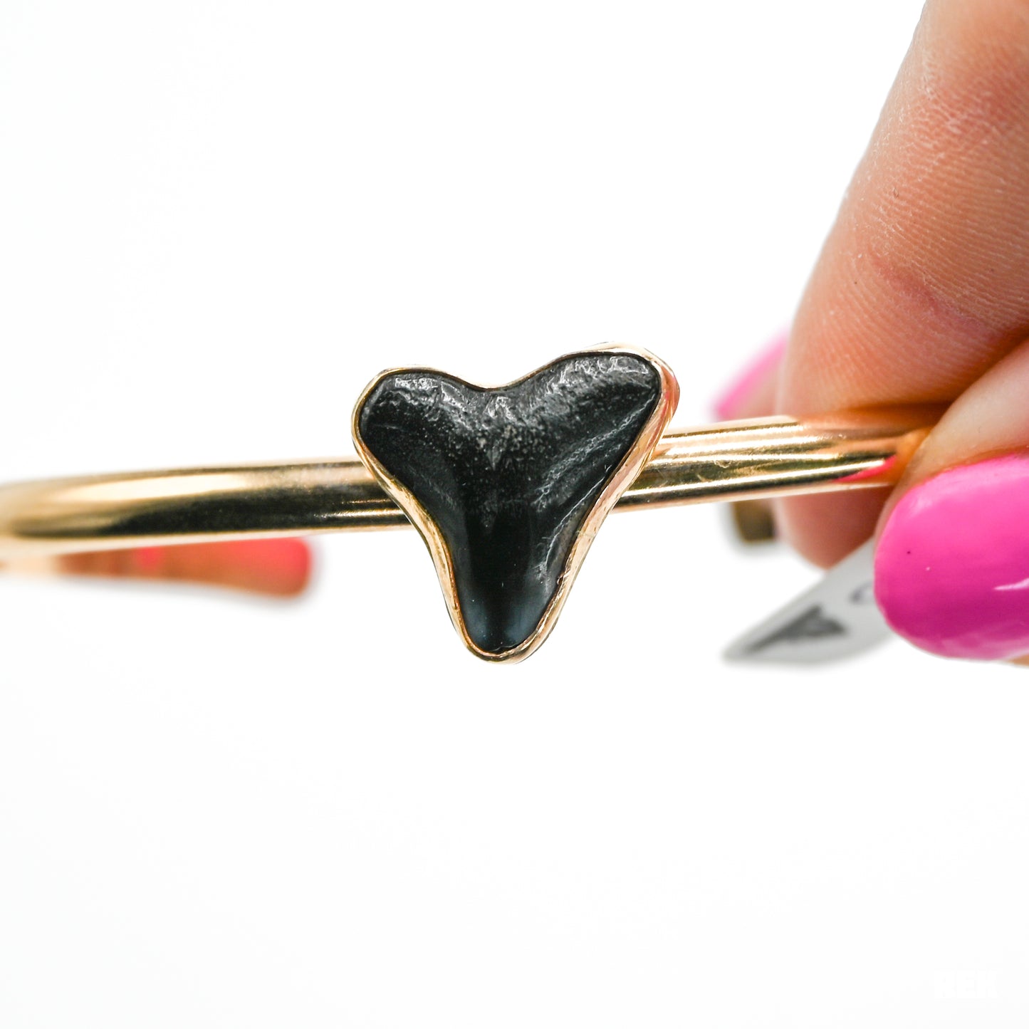 Gold fill fossilized shark tooth cuff