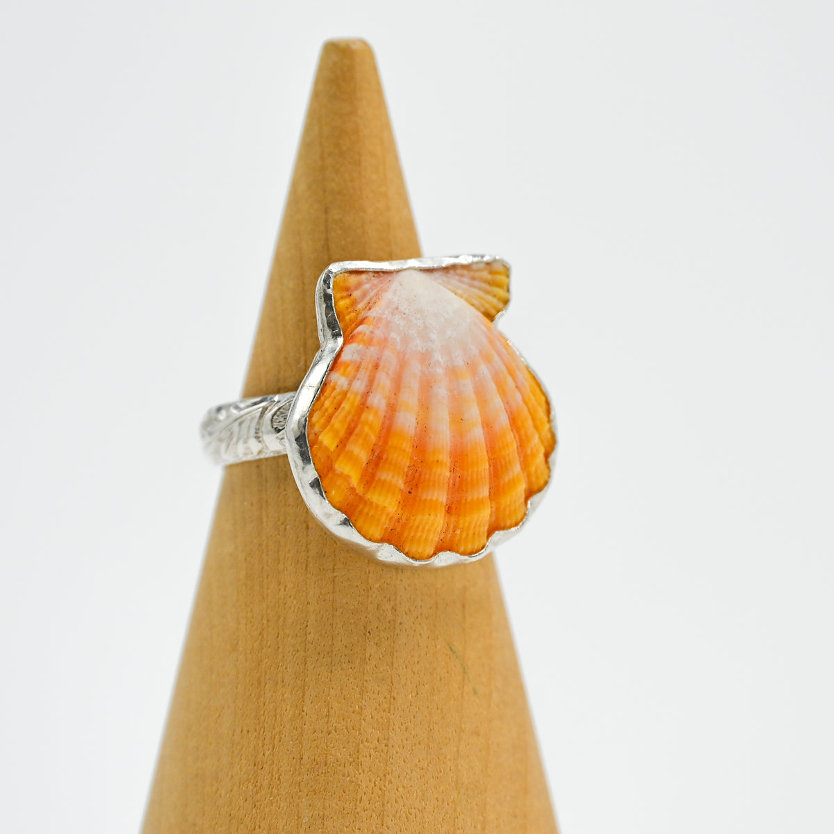 Hawaiian sunrise shell size 7