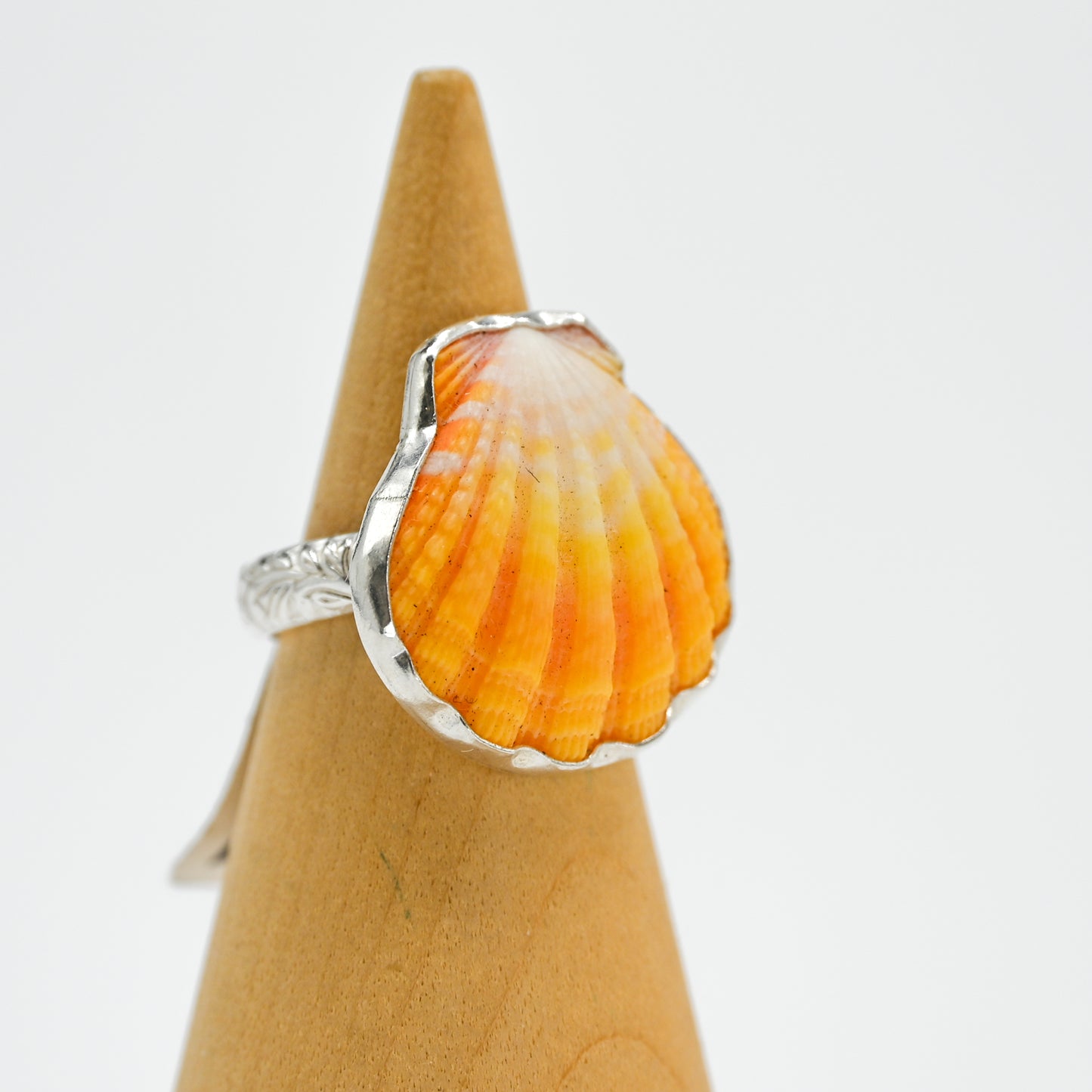 Hawaiian sunrise shell size 7.5