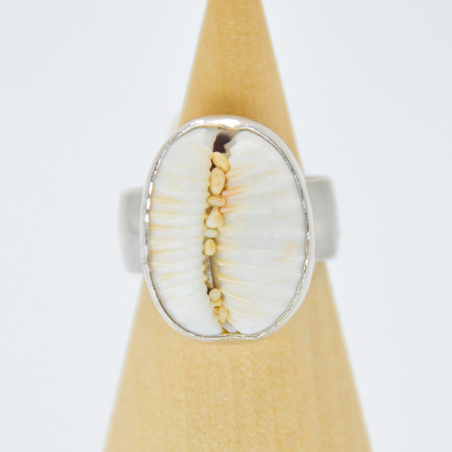 Granulated Cowrie Size 8