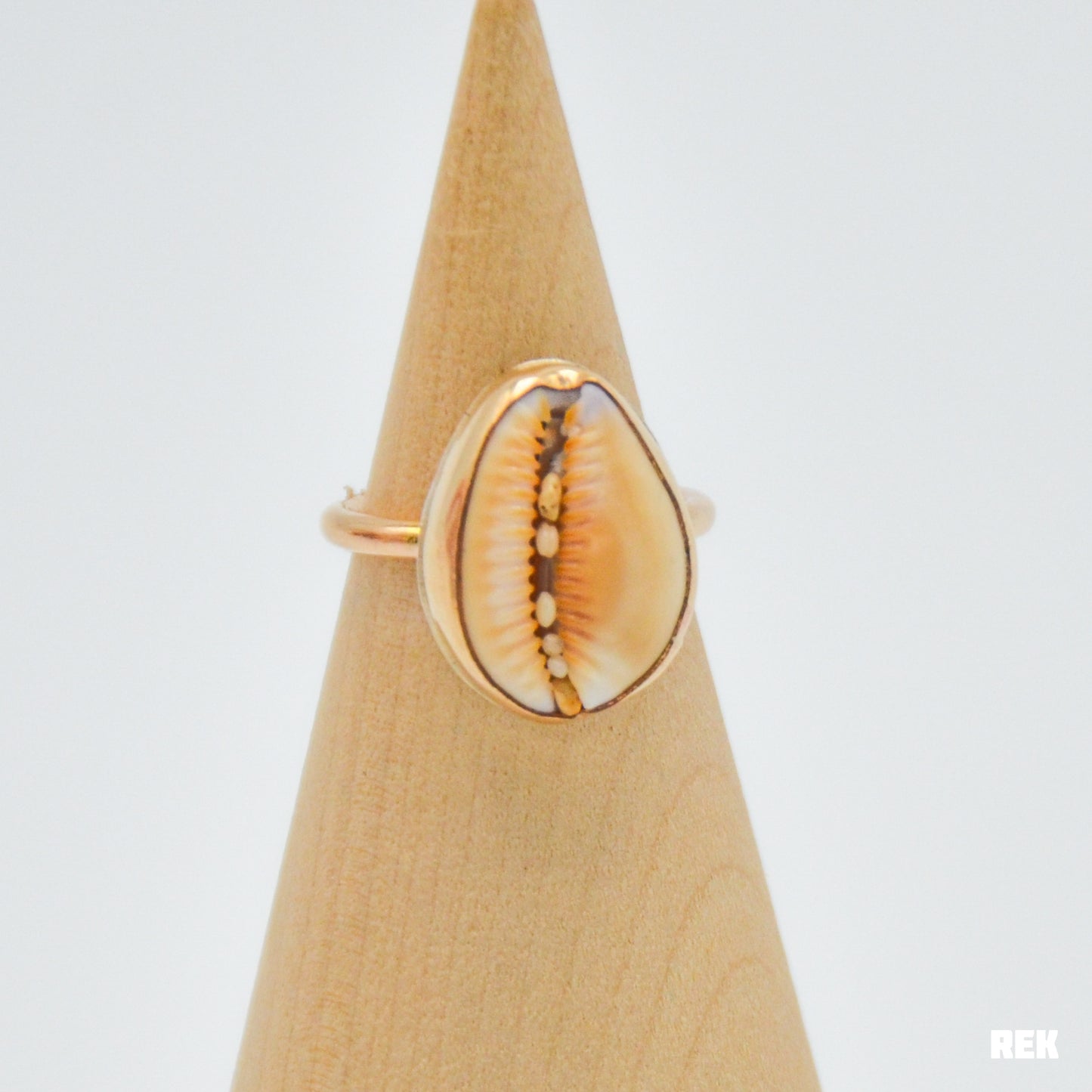Gold fill cowrie shell size 7