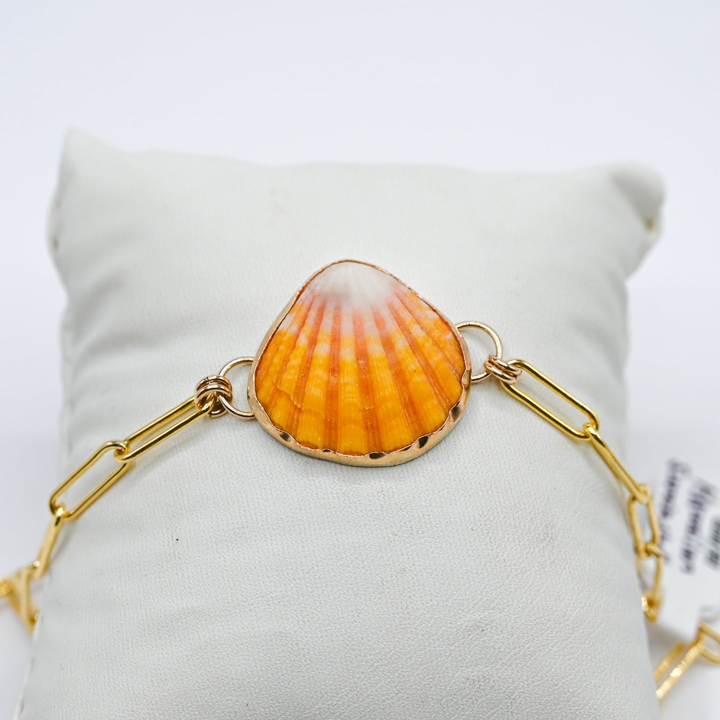 Gold fill Hawaiian Sunrise shell paperclip bracelet