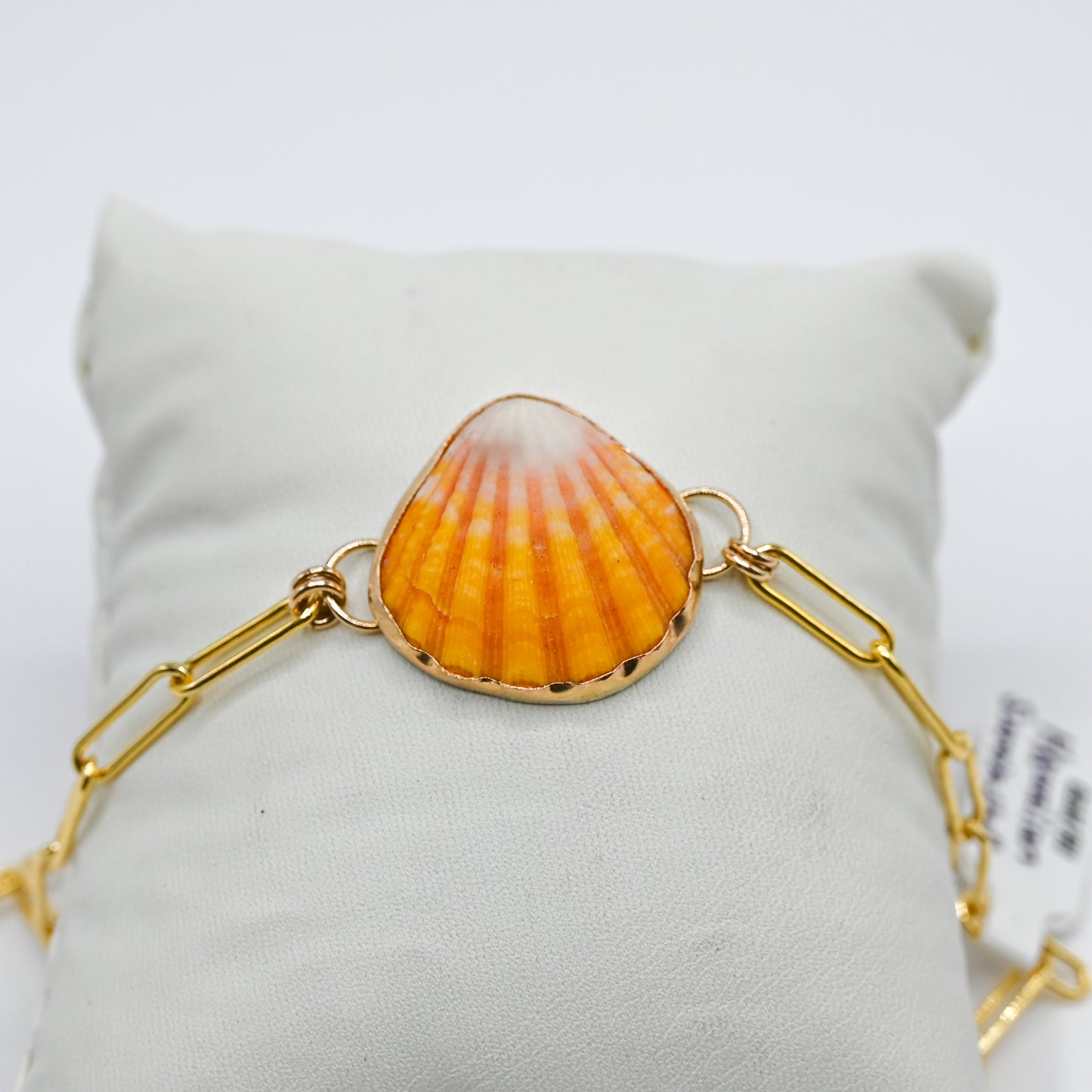 Gold fill Hawaiian Sunrise shell paperclip bracelet