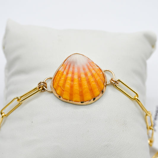 Gold fill Hawaiian Sunrise shell paperclip bracelet