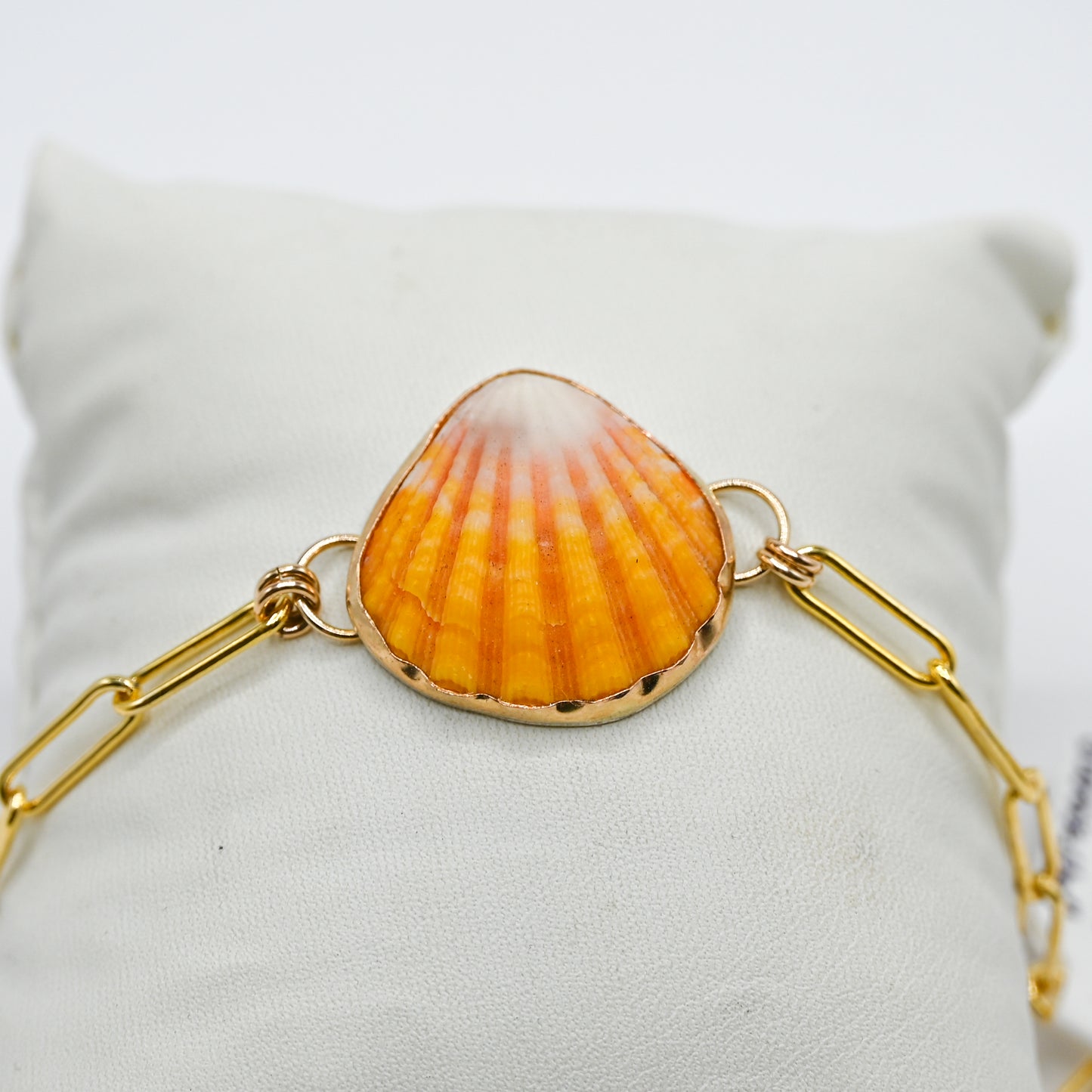 Gold fill Hawaiian Sunrise shell paperclip bracelet