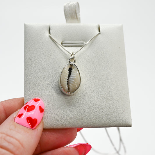 Cowrie shell necklace
