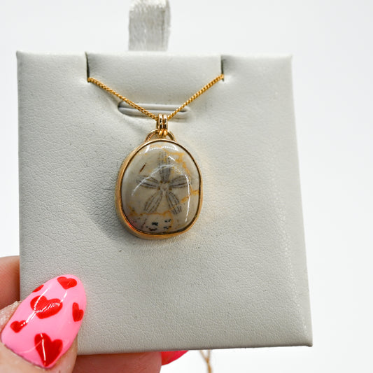 Gold fill large fossilized sand dollar necklace