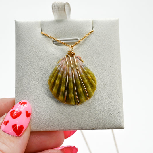Gold fill hawaiian moonrise shell necklace