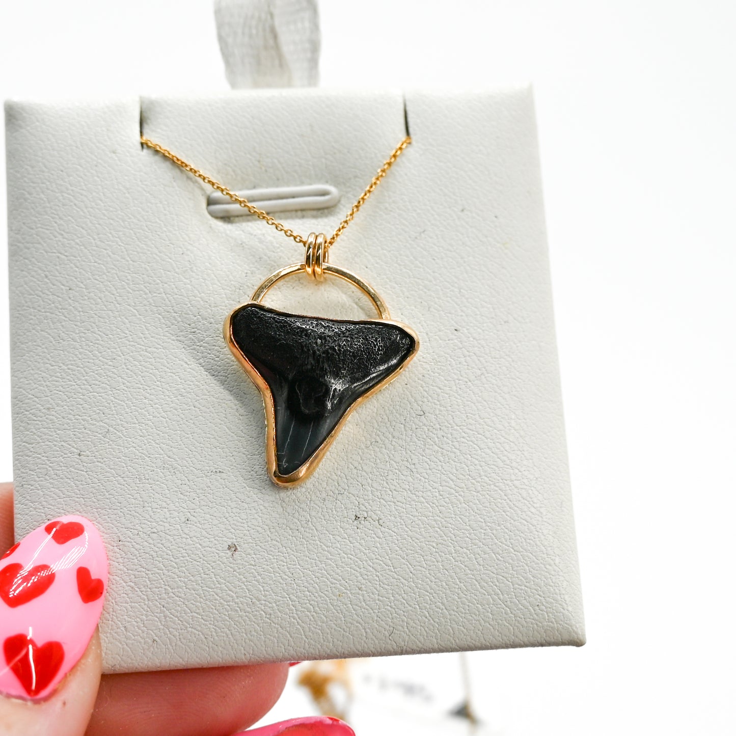 Gold fill fossilized shark tooth necklace