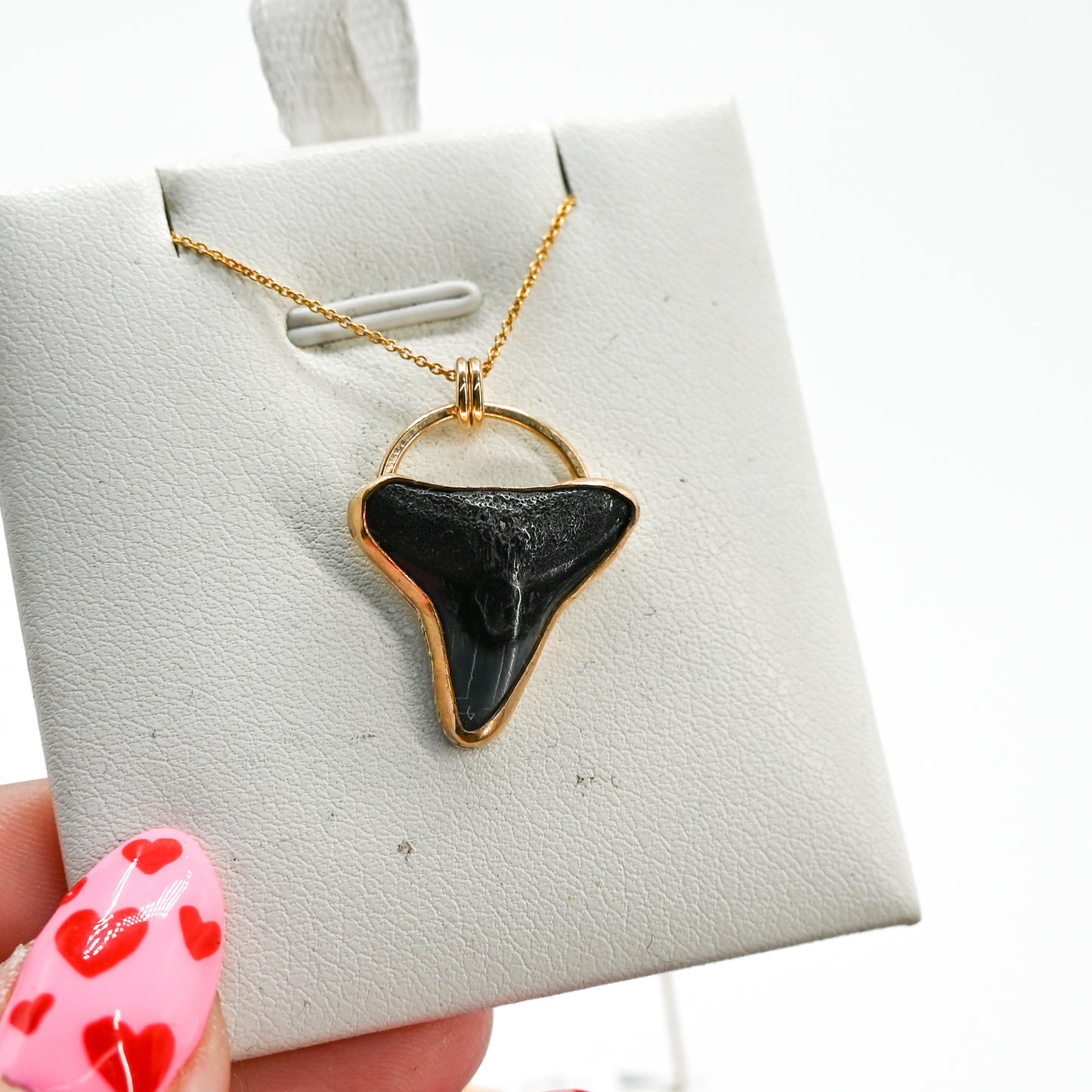 Gold fill fossilized shark tooth necklace