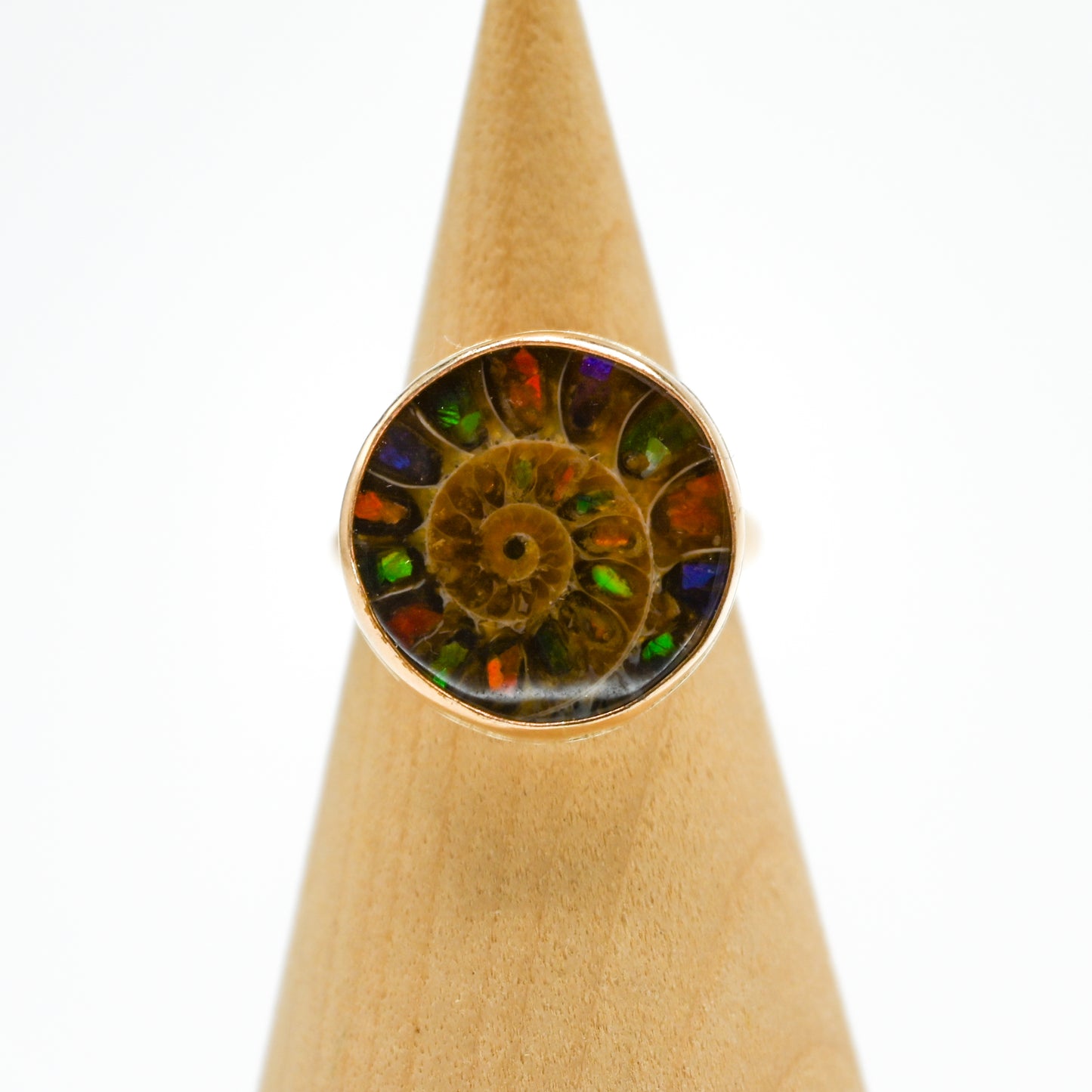 Gold fill round ammonite shell with ammonite inlay size 7.5