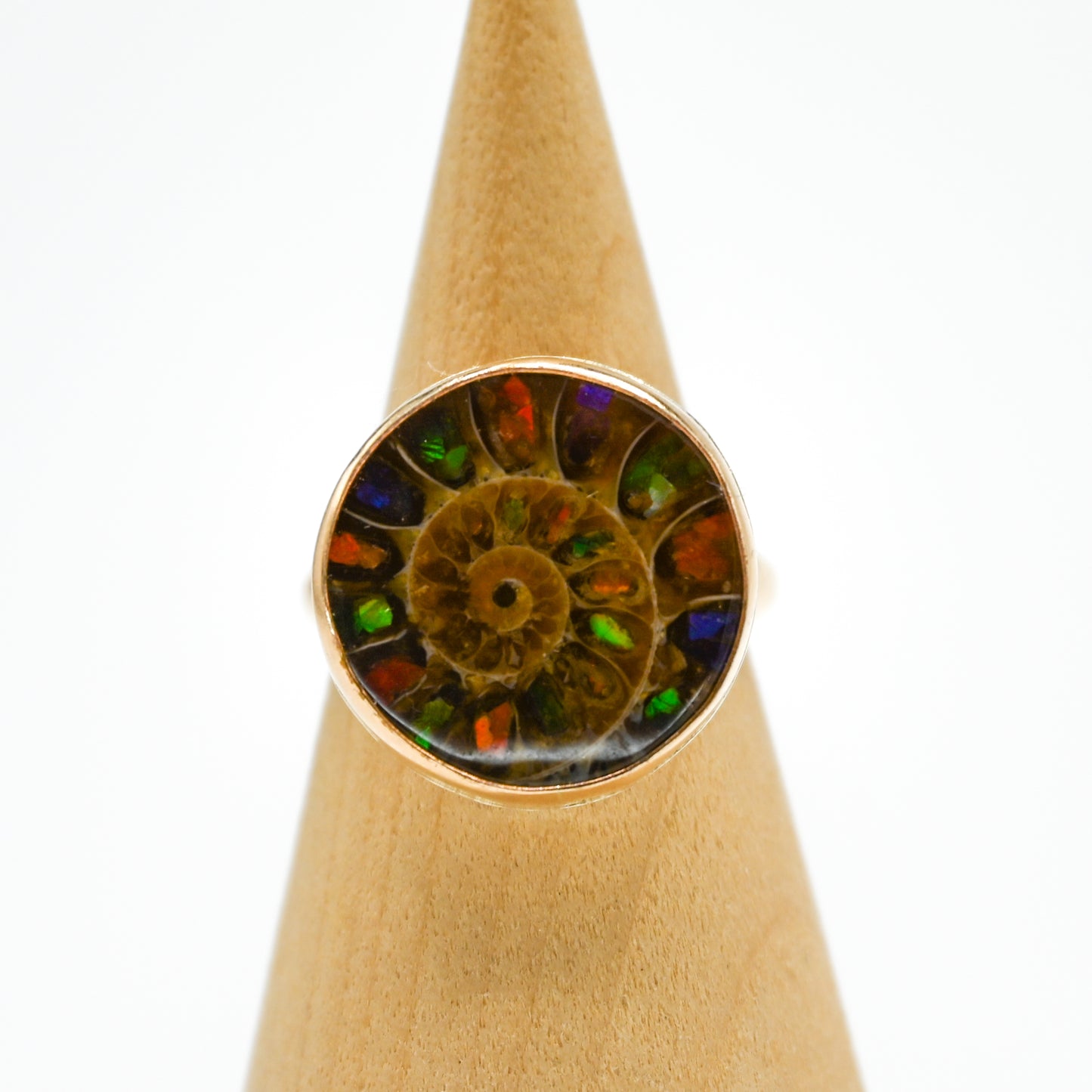 Gold fill round ammonite shell with ammonite inlay size 7.5