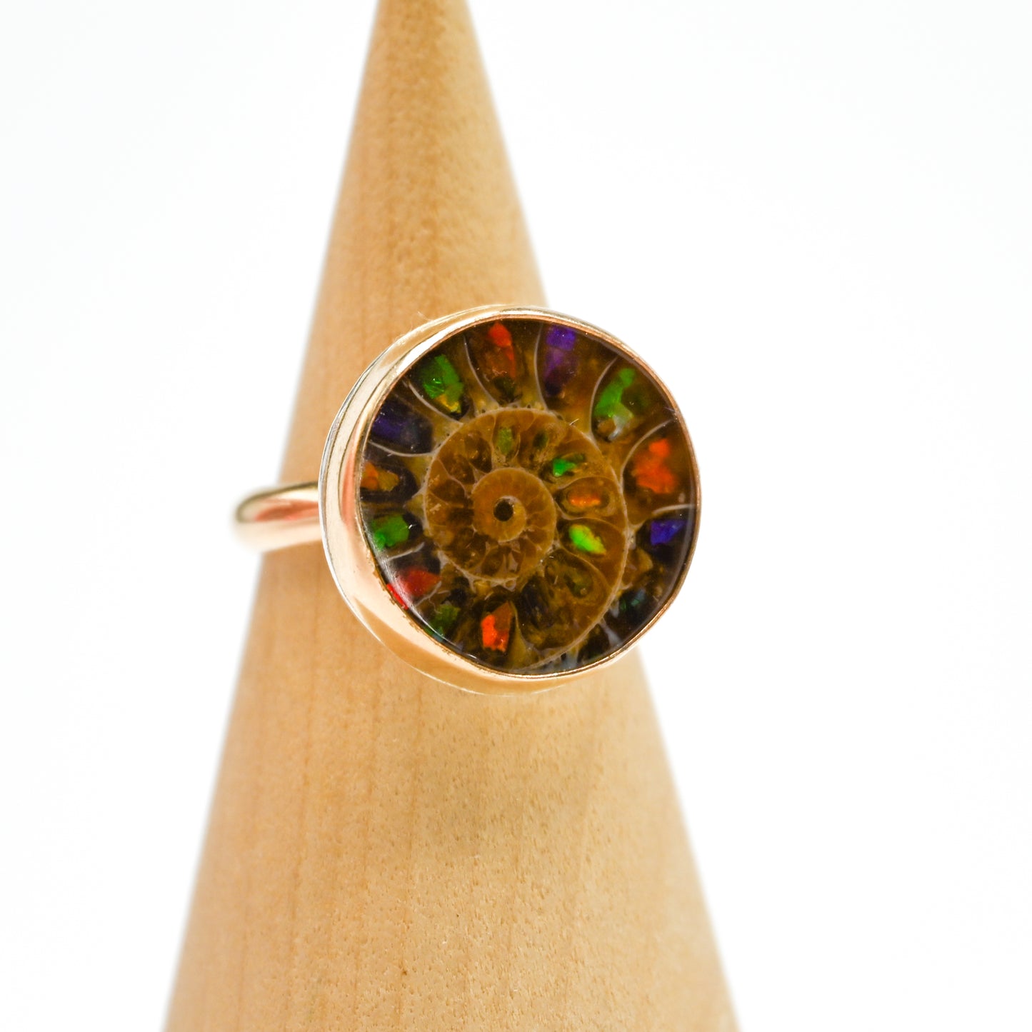 Gold fill round ammonite shell with ammonite inlay size 7.5