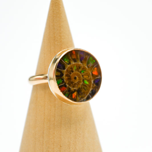 Gold fill round ammonite shell with ammonite inlay size 7.5
