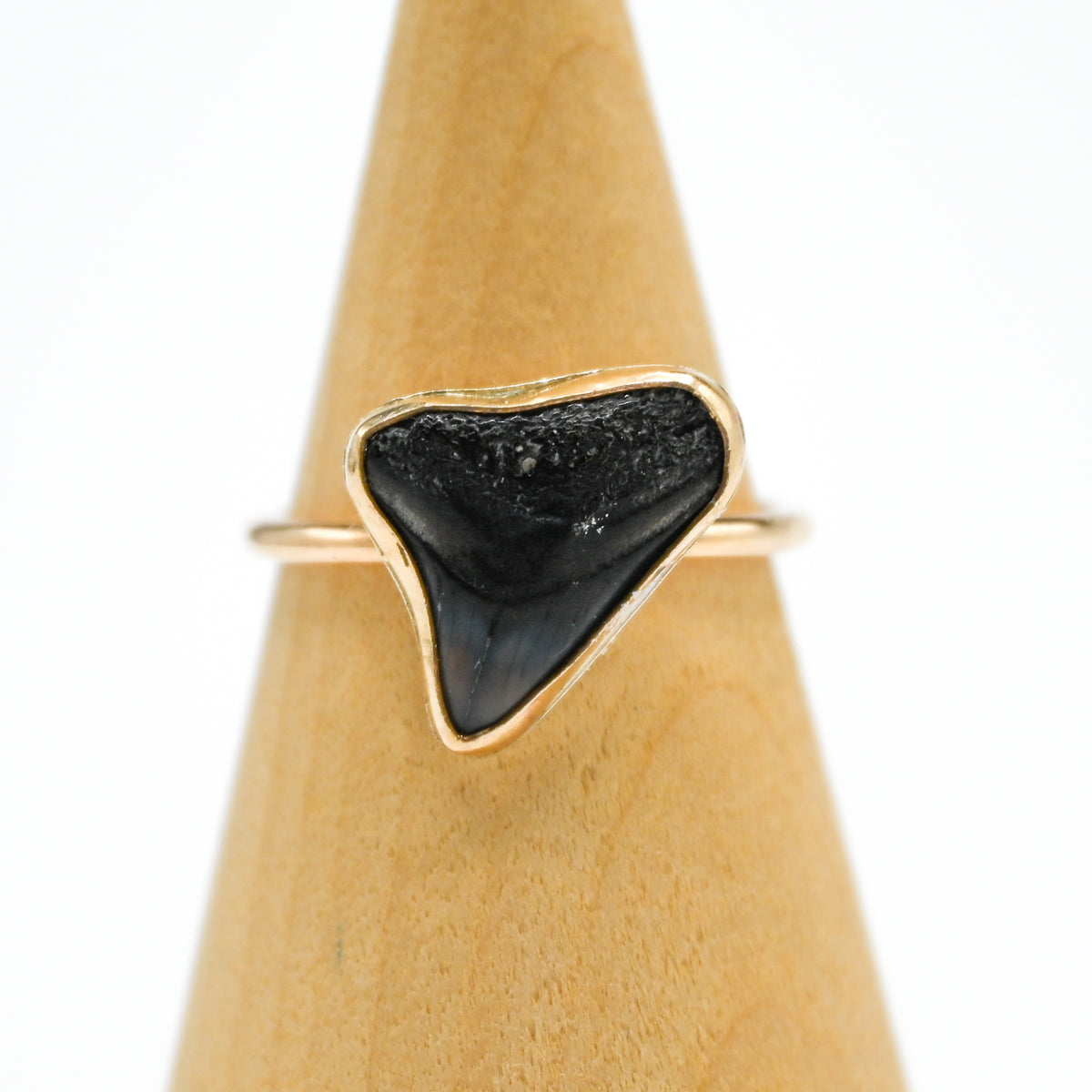 Gold fill fossilized shark tooth size 8.5